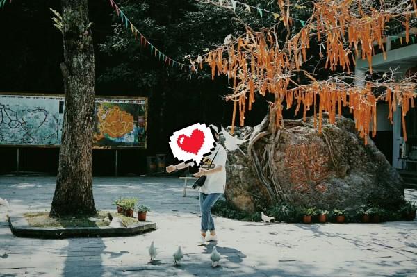 可爱兔子营救